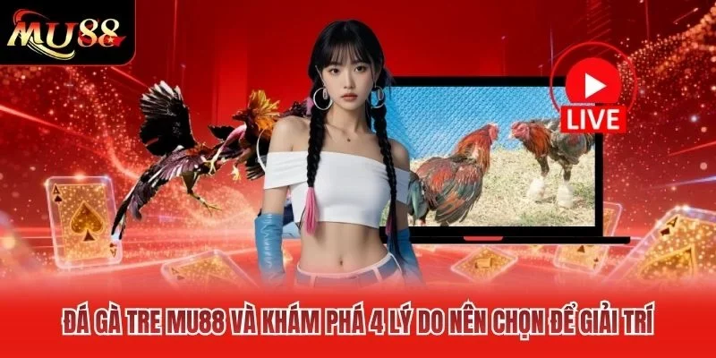 Đá Gà Tre MU88 Và Khám Phá 4 Lý Do Nên Chọn Để Giải Trí