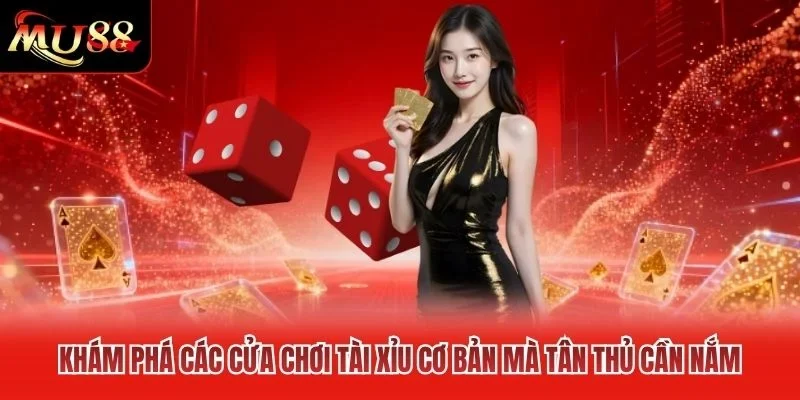 Khám phá các cửa chơi Tài Xỉu cơ bản mà tân thủ cần nắm Khám phá các cửa chơi Tài Xỉu cơ bản mà tân thủ cần nắm
