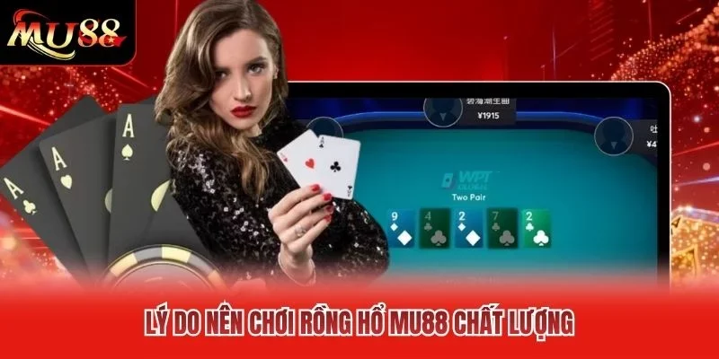 Lý do nên chơi Rồng Hổ MU88 chất lượng Lý do nên chơi Rồng Hổ MU88 chất lượng